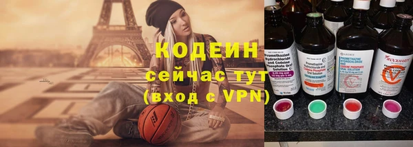 стаф Богданович