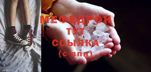 стаф Богданович