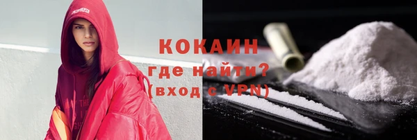 стаф Богданович