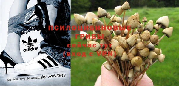 дурь Богородицк