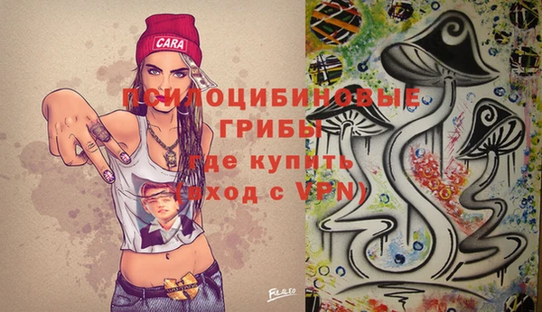 дурь Богородицк