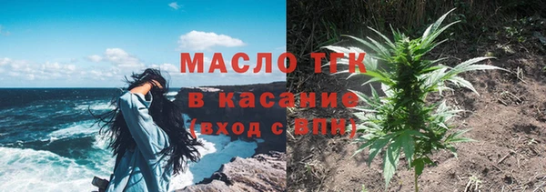 стаф Богданович
