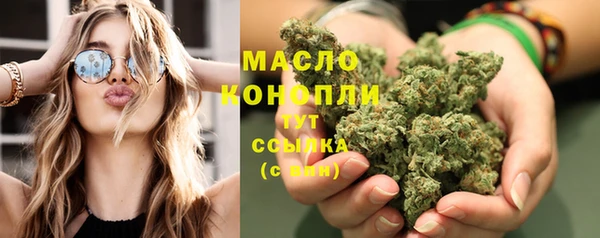 стаф Богданович