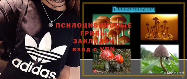 стаф Богданович
