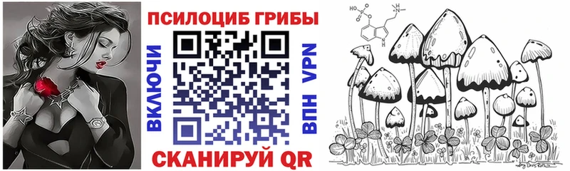 Галлюциногенные грибы Psilocybe  закладка  hydra ССЫЛКА  даркнет официальный сайт  Котлас 